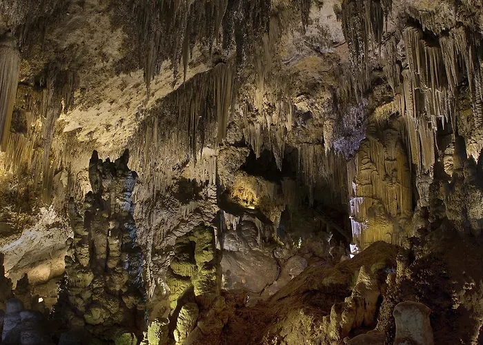 アパート Manuel Martin ネルハ